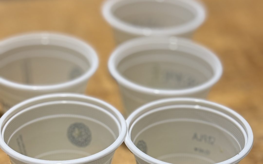 Assoprol Umbria lancia tre seminari formativi a dicembre per approfondire l’Olio EVO DOP Umbria, Biologico e SQNP