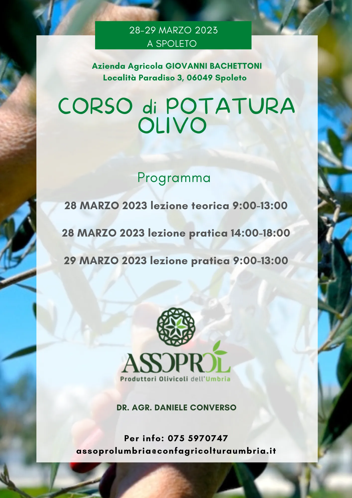 Spoleto 