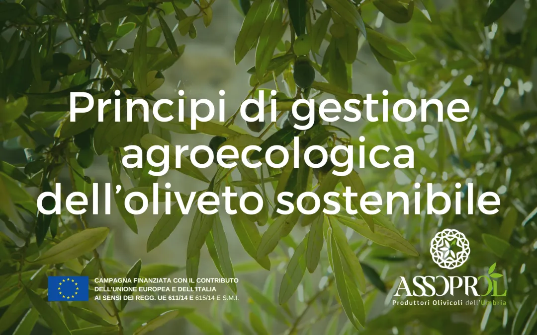 BOLLETTINO News Assoprol 1920 × 1080 Px