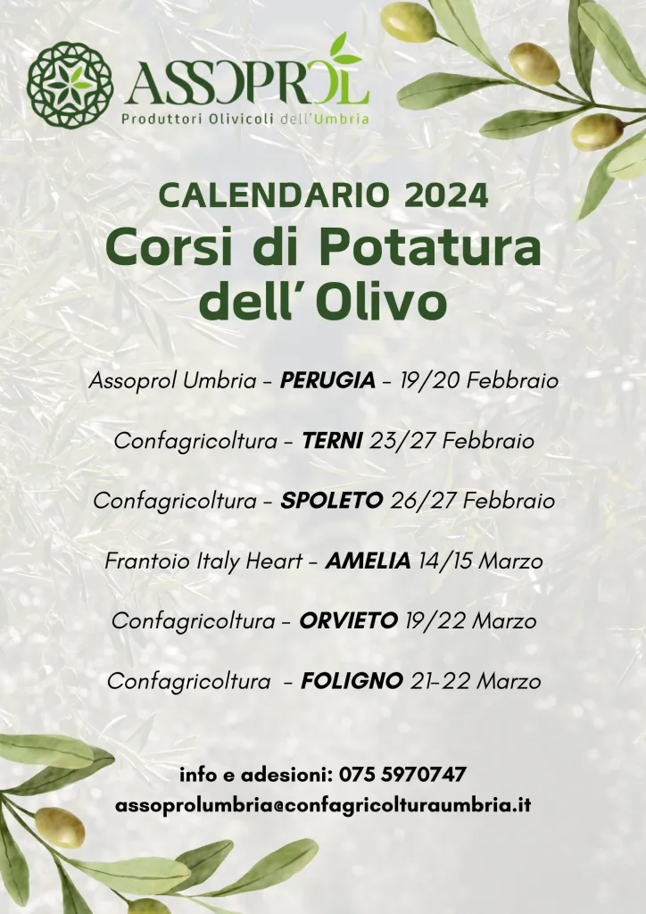 Locandina Corsi